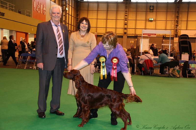 Crufts2011_2 204.jpg